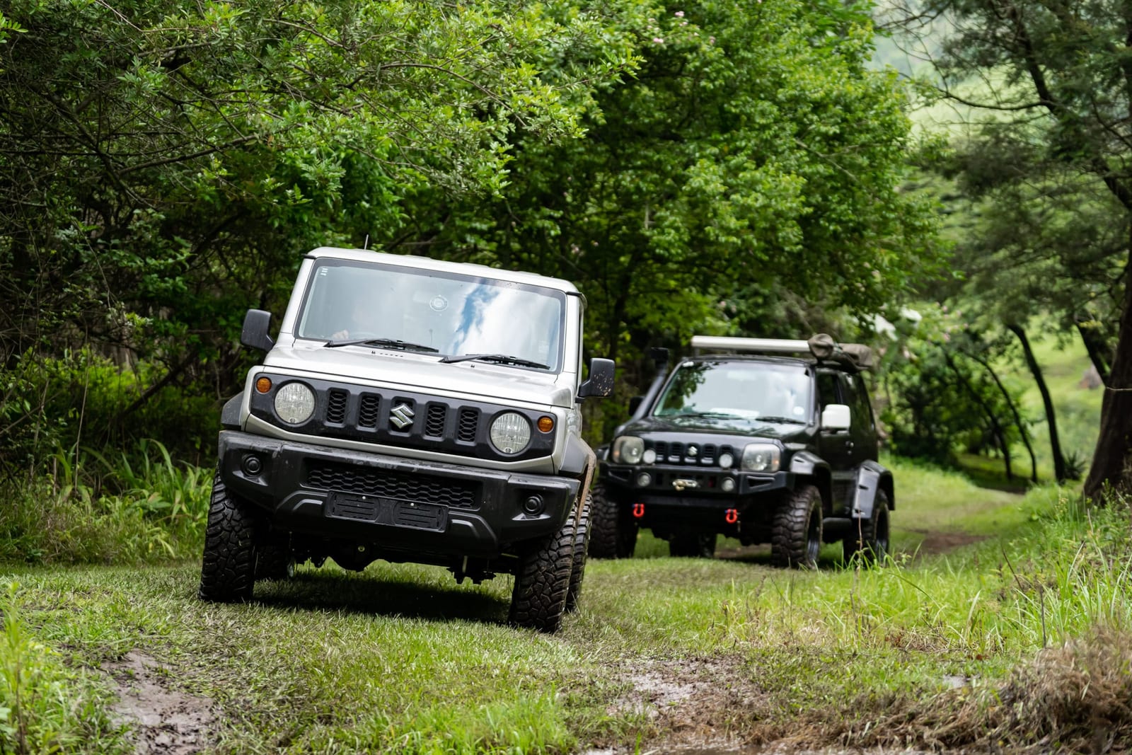 A silver current Suzuki Jimny 3-door leading a black older Jimny along a grassy trail under trees